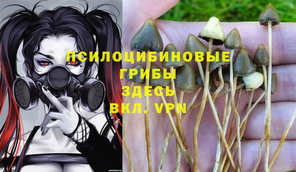 МДМА Нея