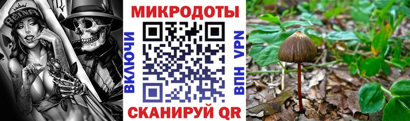 наркота  mega   Галлюциногенные грибы MAGIC MUSHROOMS  Шагонар 