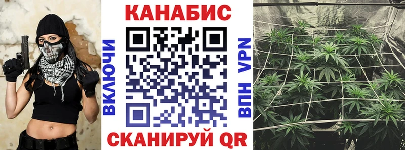 магазин продажи   Шагонар  Бошки Шишки семена 